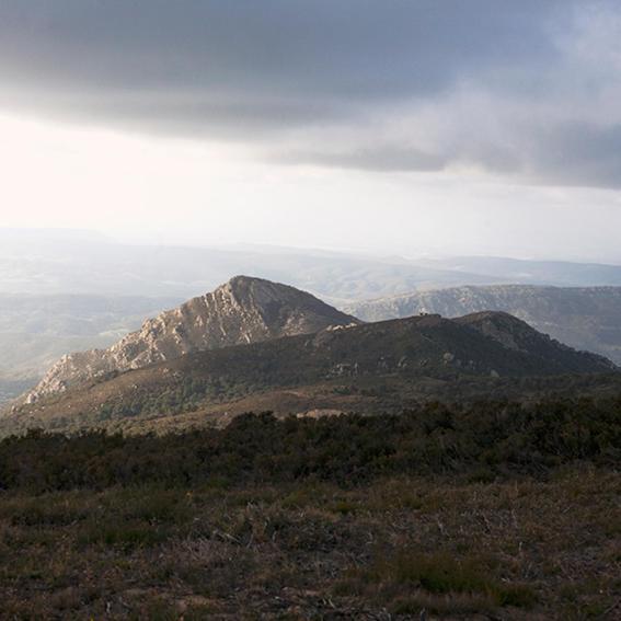 Ruralcamomo Villa Cadiz Bagian luar foto