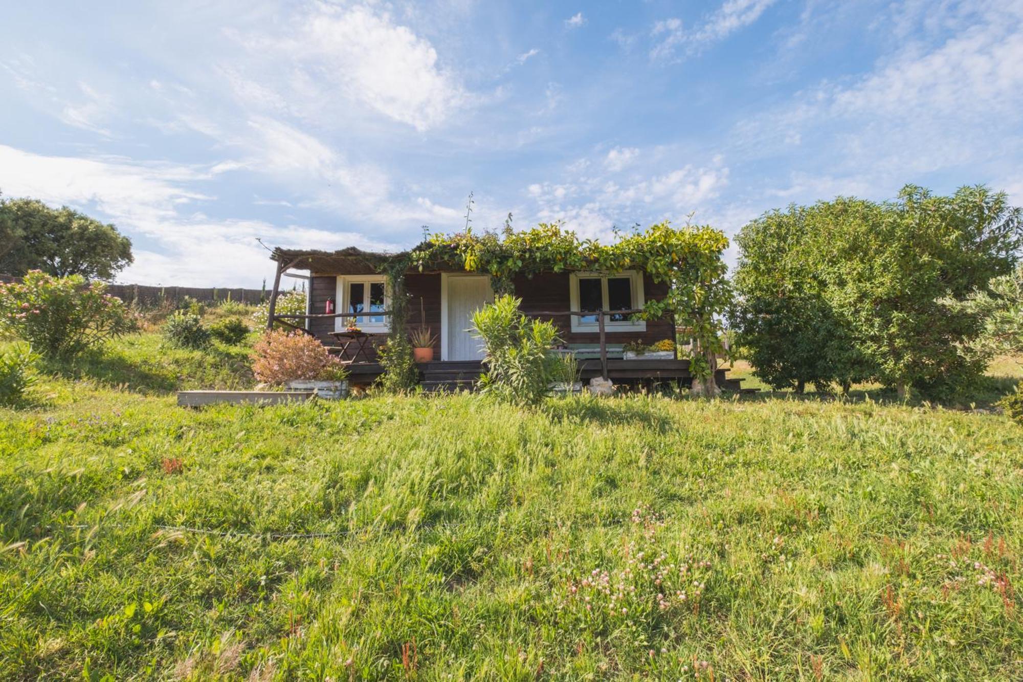 Ruralcamomo Villa Cadiz Bagian luar foto