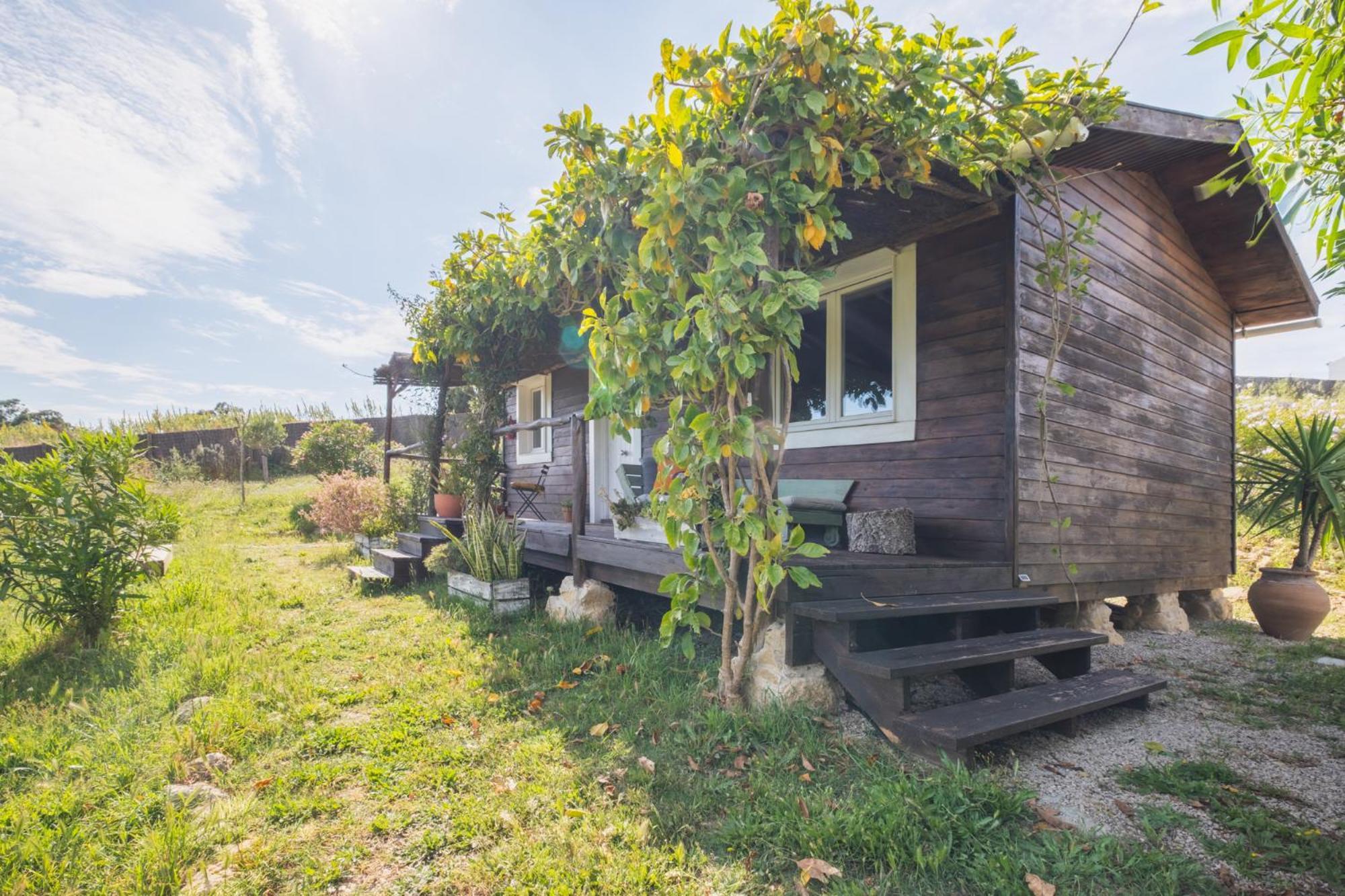 Ruralcamomo Villa Cadiz Bagian luar foto